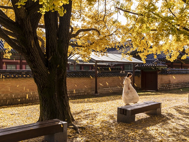 景福宫 女士 秋天 - 上的免费照片
