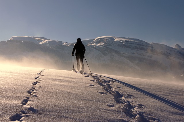 人类 雪 登山杖 - 上的免费照片
