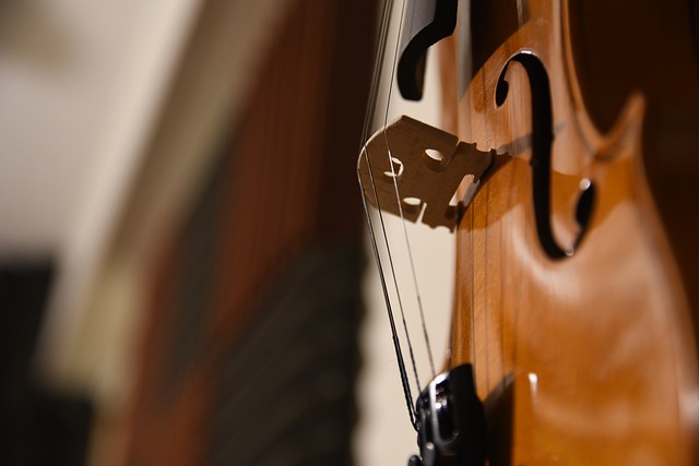 小提琴 中提琴 大提琴 - 上的免费照片