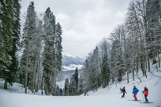 雪 滑雪 人们 - 上的免费照片