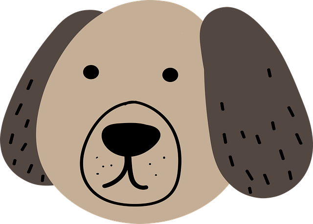剪贴画 贵宾犬 仓鼠 - 上的免费图片