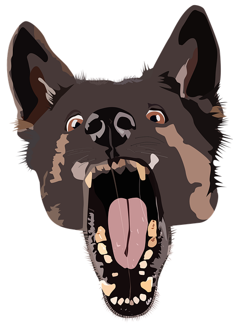 狗 恶毒 犬类 - 免费矢量图形