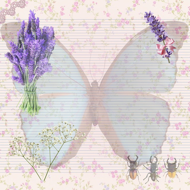 信纸 鲜花 昆虫 - 上的免费图片