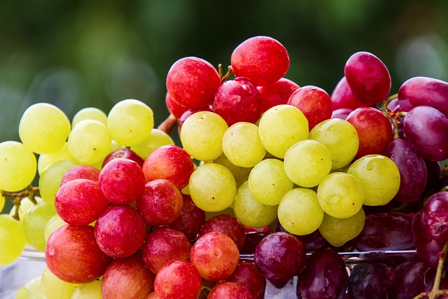葡萄 水果 簇 - 上的免费照片
