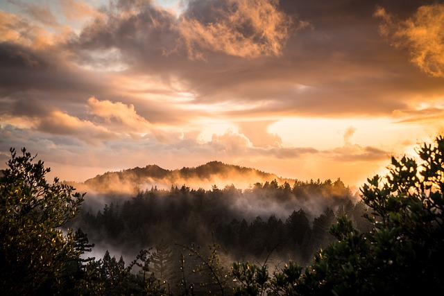 山 森林 日落 - 上的免费照片