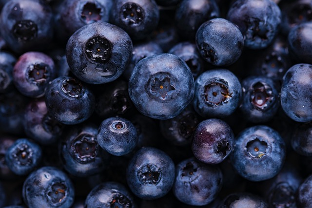 蓝莓 水果 收成 - 上的免费照片