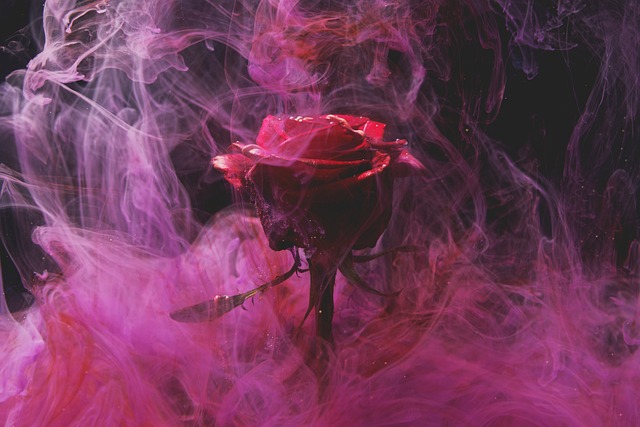 玫瑰 红色的 抽烟 - 上的免费照片