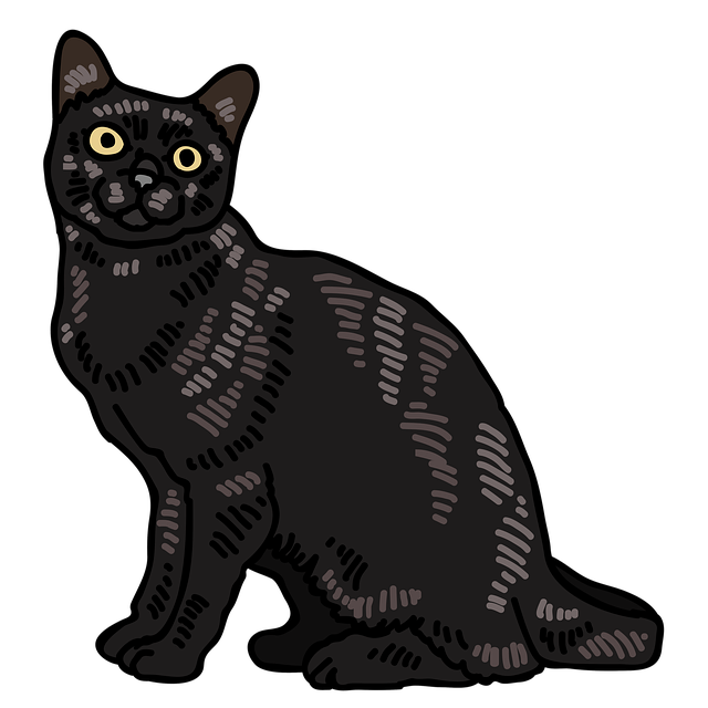 猫 小猫 动物 - 上的免费图片