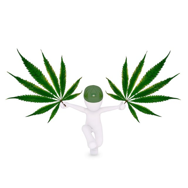 大麻 麻 马里 - 上的免费图片