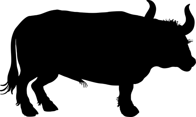 牛 动物 轮廓 - 免费矢量图形