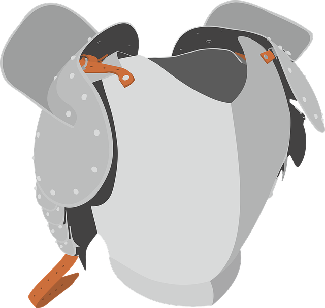 盔甲 胸甲 骑士 - 免费矢量图形