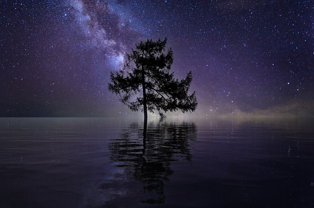 树 星星 湖 - 上的免费图片