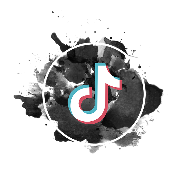 Tiktok 狄Tok 图标 - 上的免费图片
