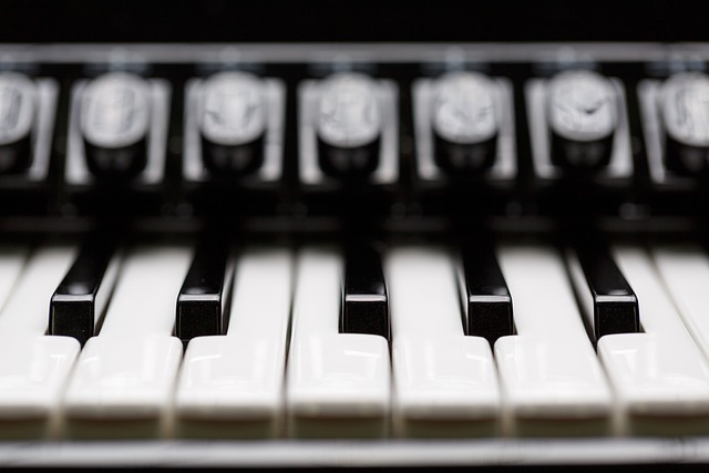 钥匙 手风琴 钢琴 - 上的免费照片