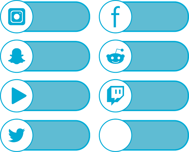 社交媒体叠加 Instagram Facebook - 免费矢量图形