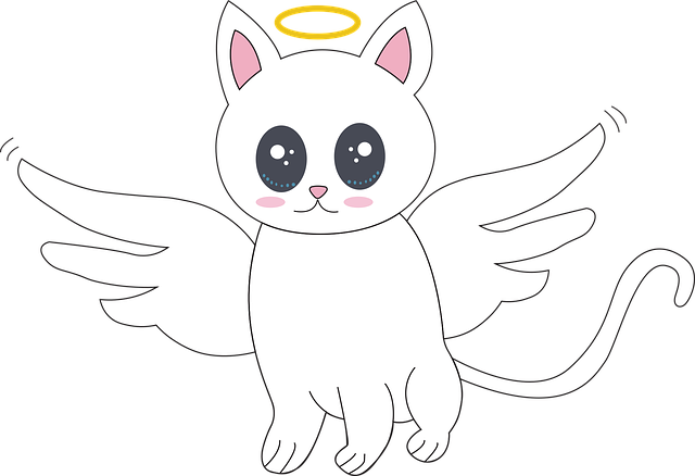 角度 猫 宠物 - 免费矢量图形