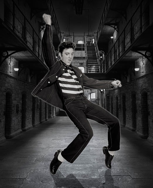 猫王 音乐家 音乐 - 上的免费图片