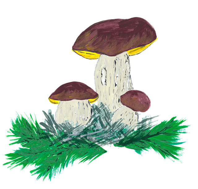 蘑菇 水彩 水彩绘画 - 免费矢量图形