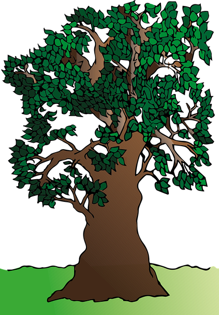 树 自然 景观 - 免费矢量图形