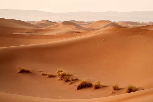 沙漠 撒哈拉 沙丘 - 上的免费照片