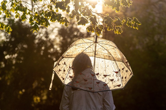 雨伞 阳光 女士 - 上的免费照片