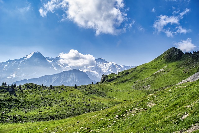 山 阿尔卑斯山 丘陵 - 上的免费照片