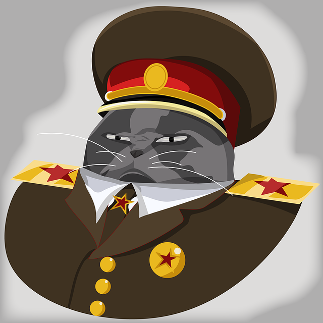 猫 军阀 中国军阀 - 上的免费图片