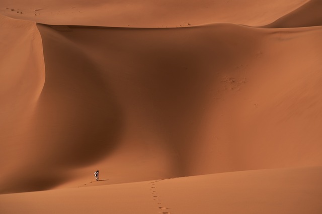 沙漠 沙 旅行 - 上的免费照片