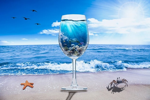 在海滩上的酒杯 红酒杯 海滩 - 上的免费图片