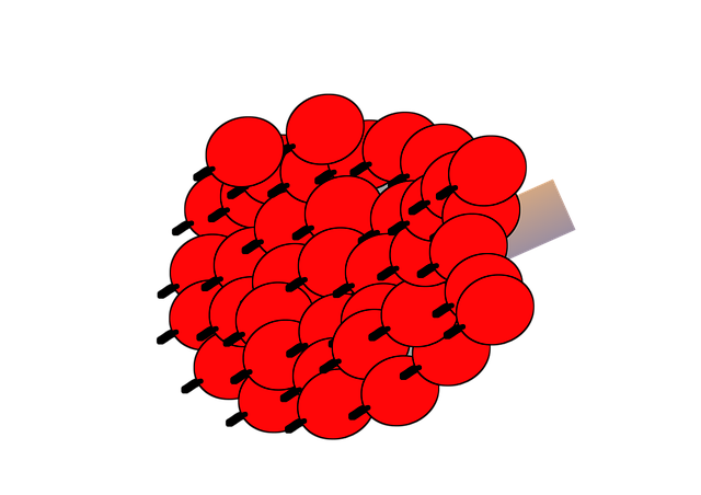 棕榈油 椰子 - 上的免费图片