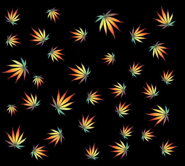 大麻 锅 墙纸 - 上的免费图片