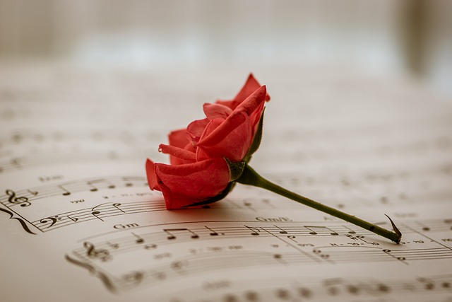 乐谱 红玫瑰 红花 - 上的免费照片