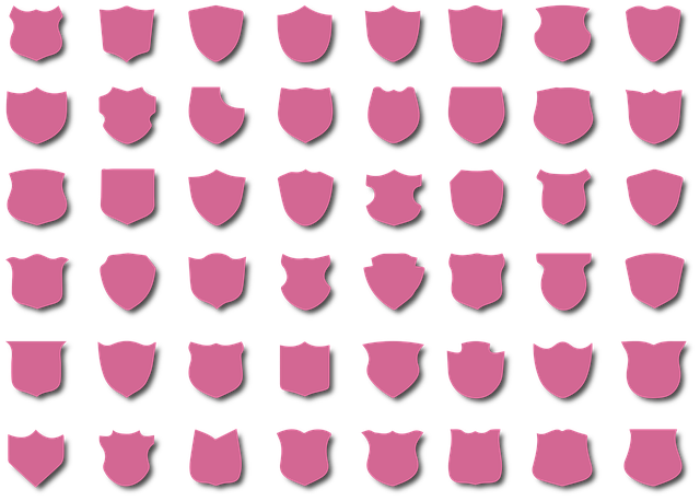 盾 中世纪 图标 - 免费矢量图形