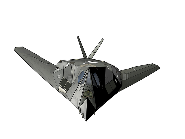飞机 空军 F-117 - 上的免费图片