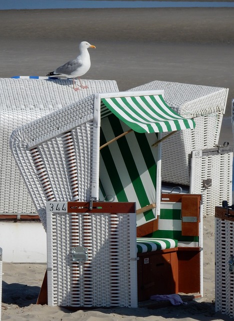 海滩 沙滩椅 海鸥 - 上的免费照片