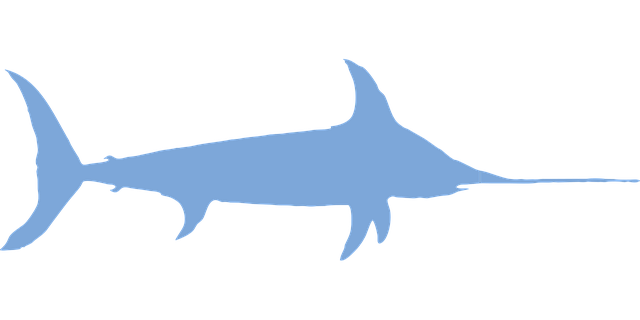 马林鱼 鱼 动物 - 免费矢量图形