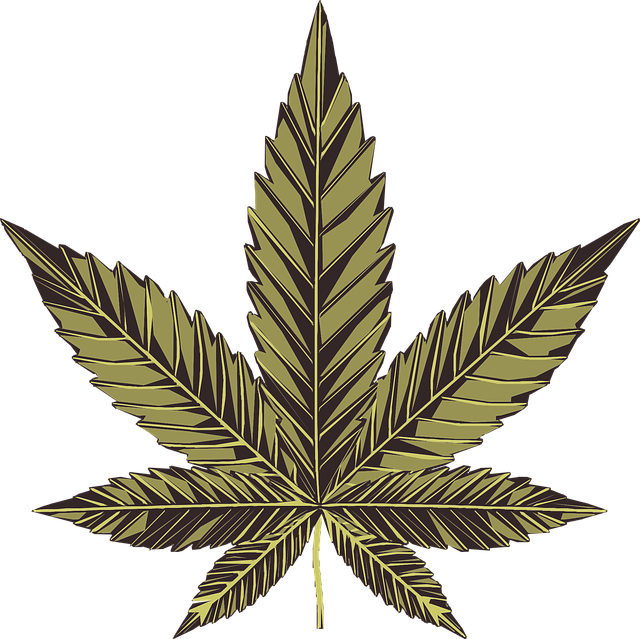 大麻 中央商务区 丰富多彩的 - 免费矢量图形
