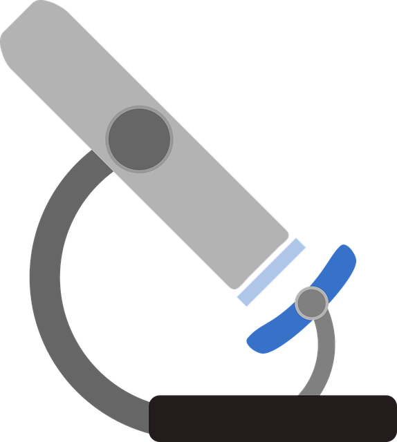 显微镜 图标 放大 - 免费矢量图形