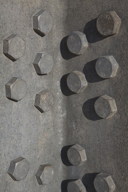 电 传送 活力 - 上的免费照片