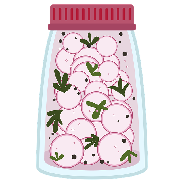 萝卜 香菜 香料 - 上的免费图片