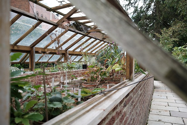 温室 花园 植物 - 上的免费照片