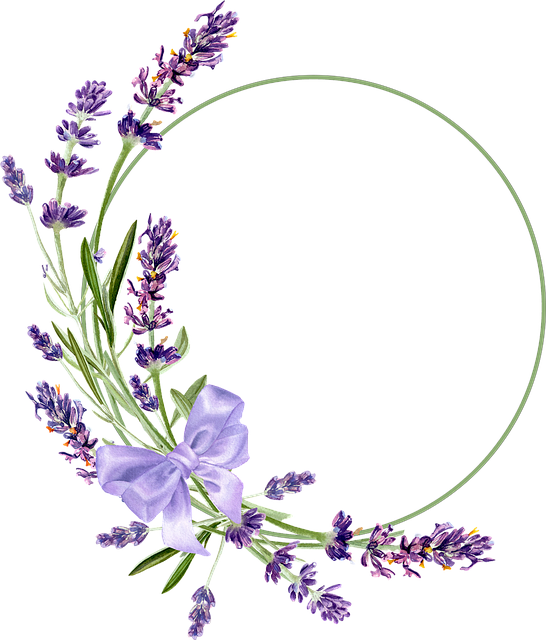 框架 花框 复制空间 - 免费矢量图形