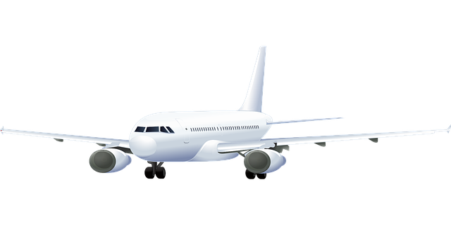 飞机 客机 空客A330 - 免费矢量图形