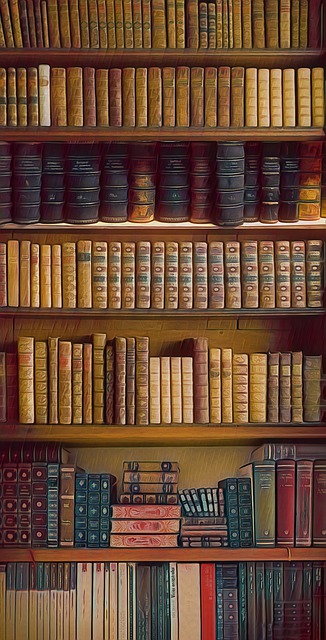 图书 架子 书架 - 上的免费图片