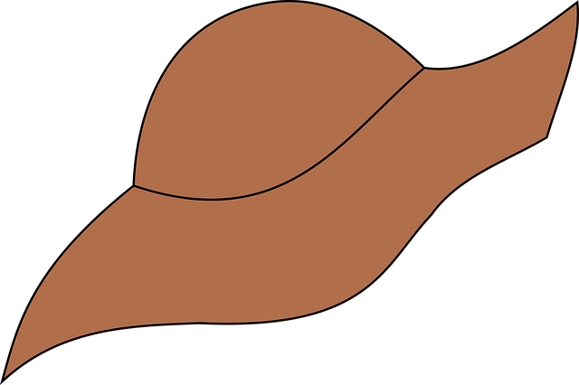 帽子 时尚 帽 - 上的免费图片