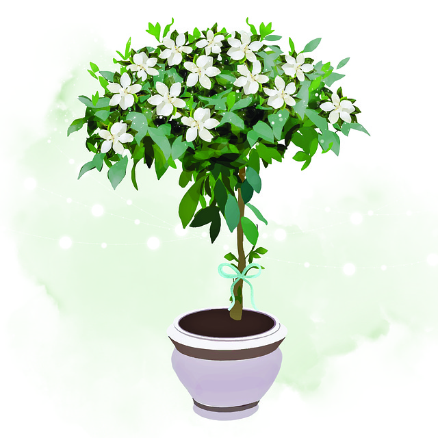 花朵 植物 栀子 - 上的免费图片
