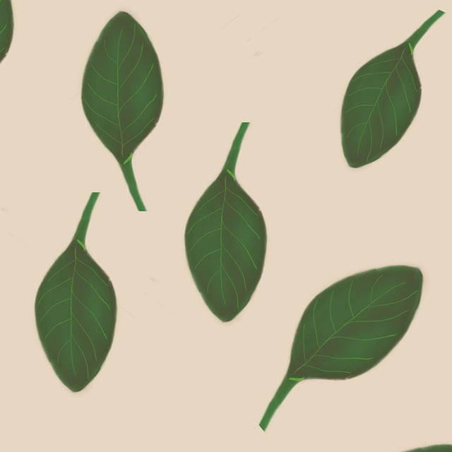 树叶 自然 图案 - 上的免费图片