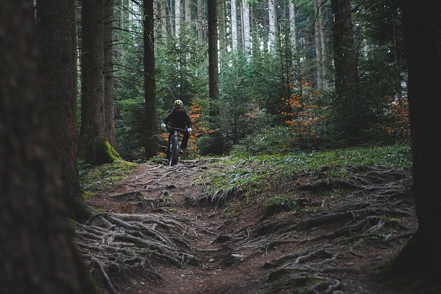 越野骑行 越野自行车 森林 - 上的免费照片