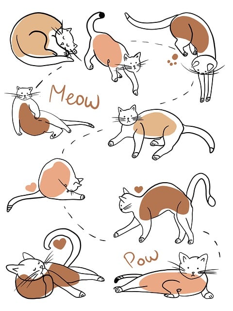 猫 猫涂鸦 猫图画 - 上的免费图片