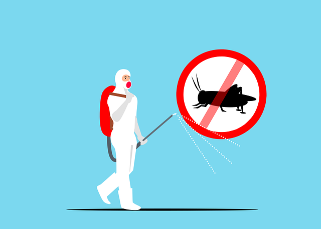 昆虫控制 灭绝 服务 - 免费矢量图形